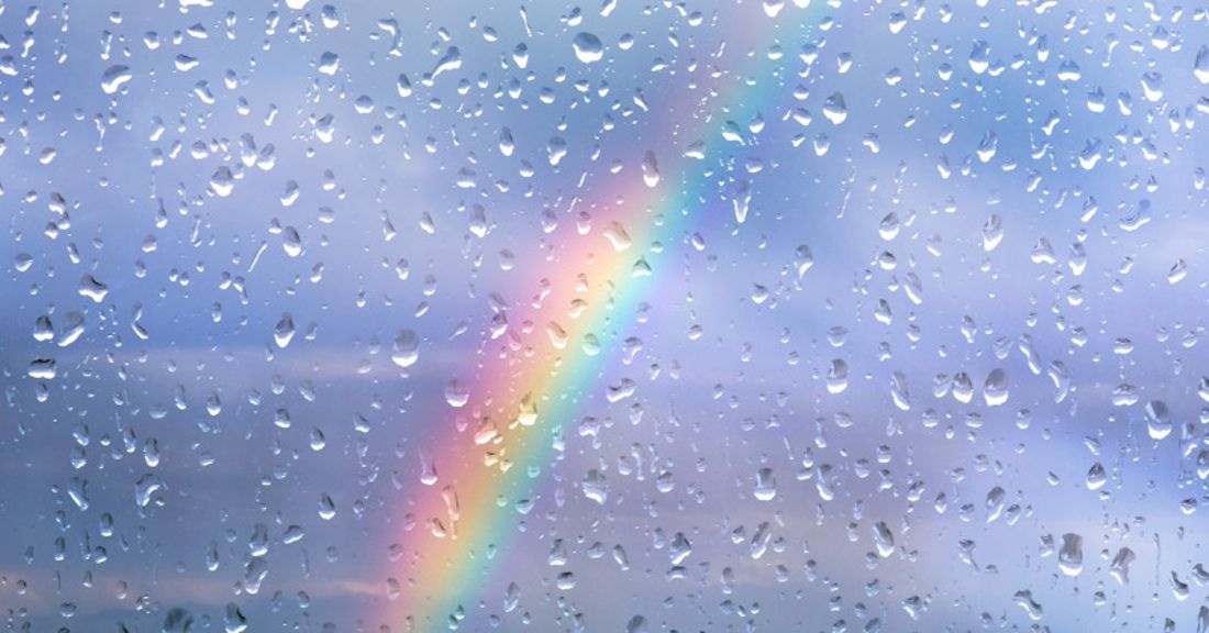 Regenbogen bei Regen_News.jpeg Regenbogen bei Regen_News.jpeg